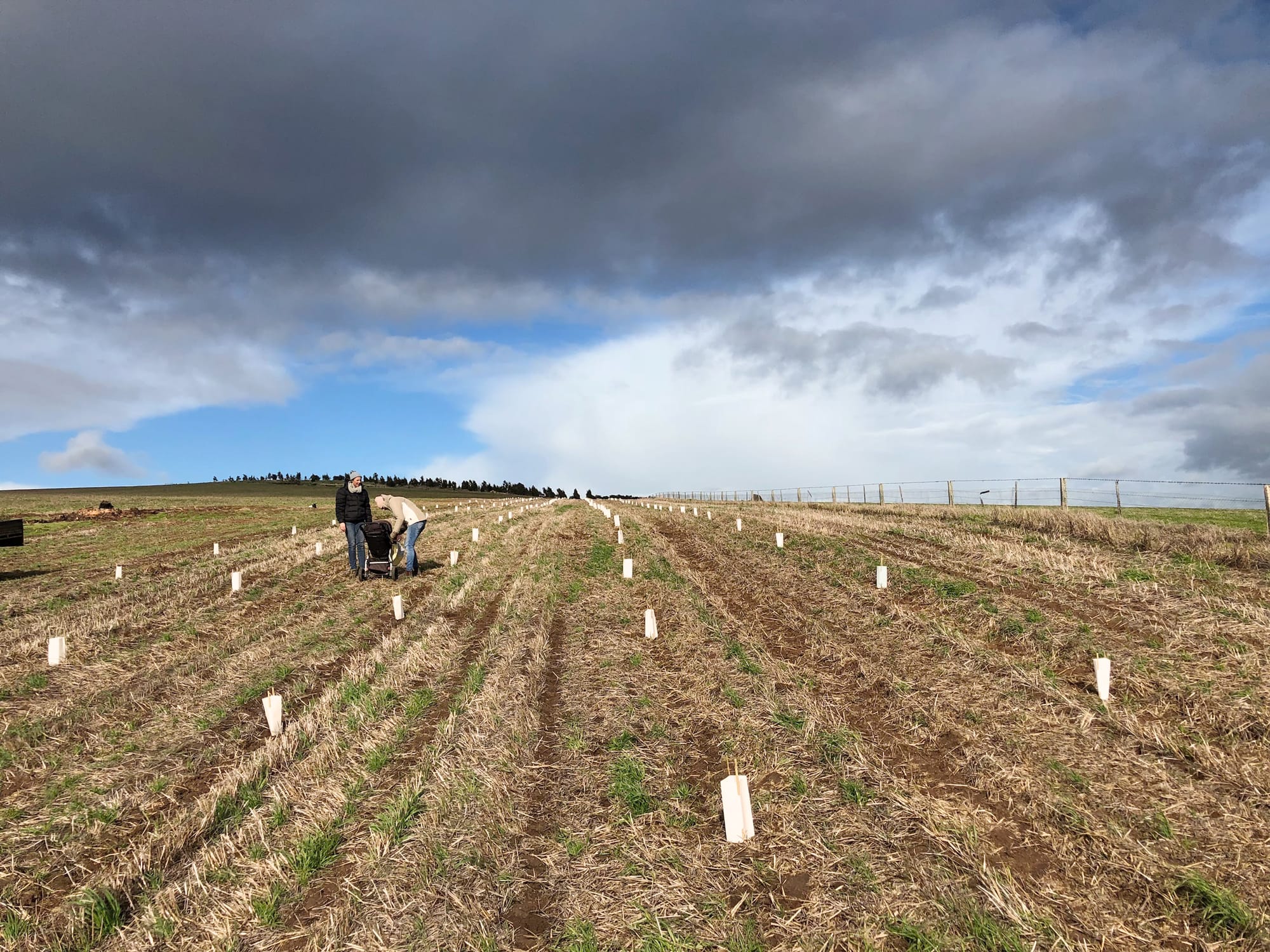 Land Restoration & Vegetation Upper Hopkins Land Management Group