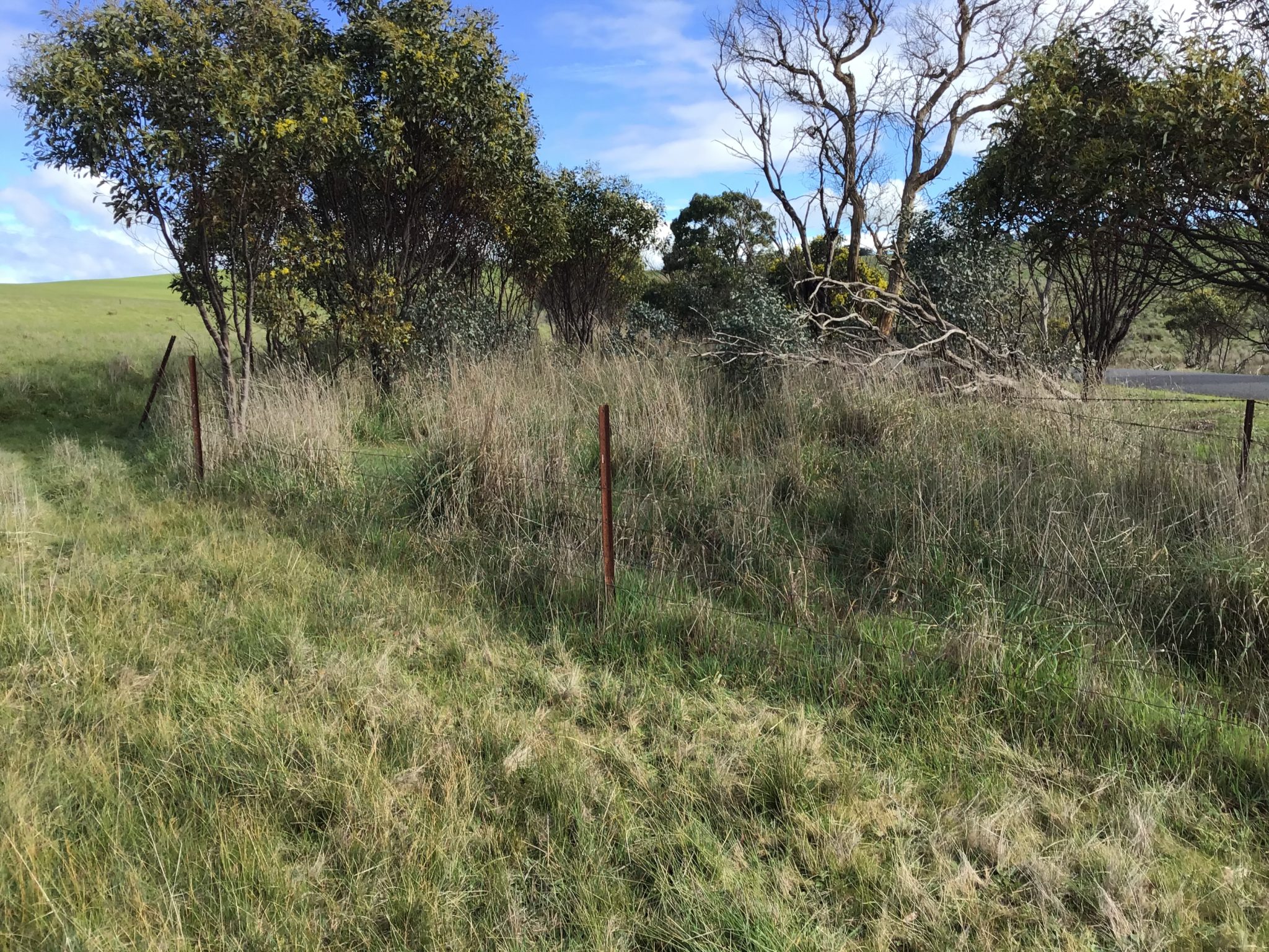 Spring 2020 newsletter Upper Hopkins Land Management Group