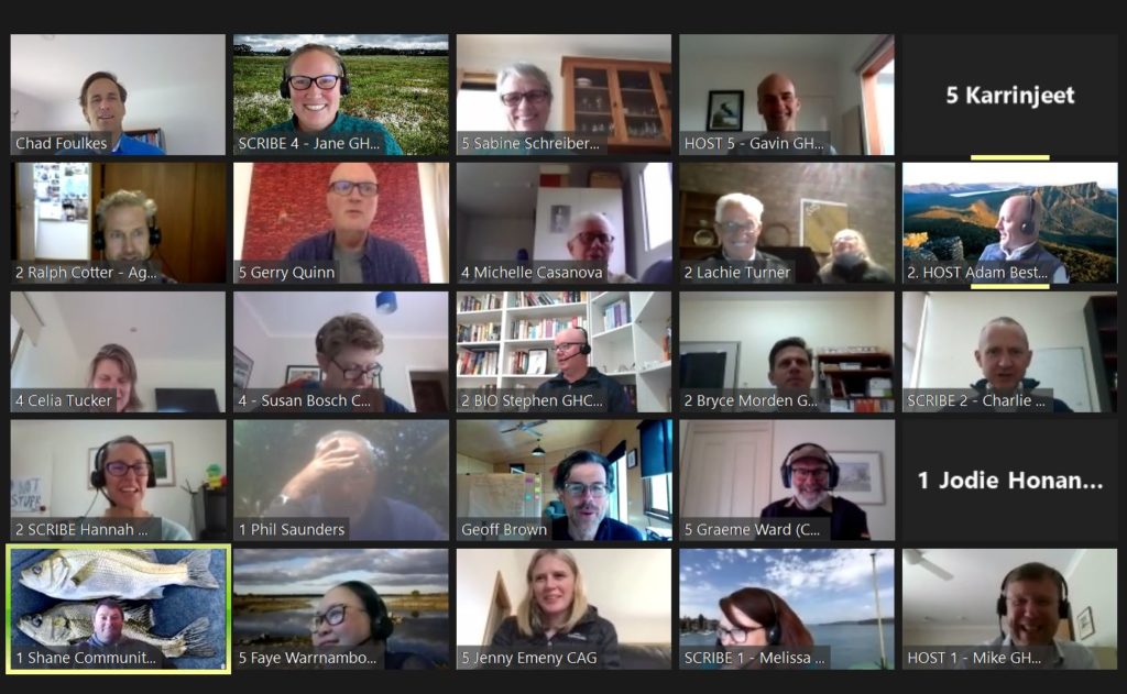 Screen shot of participants in Zoom meeting. 