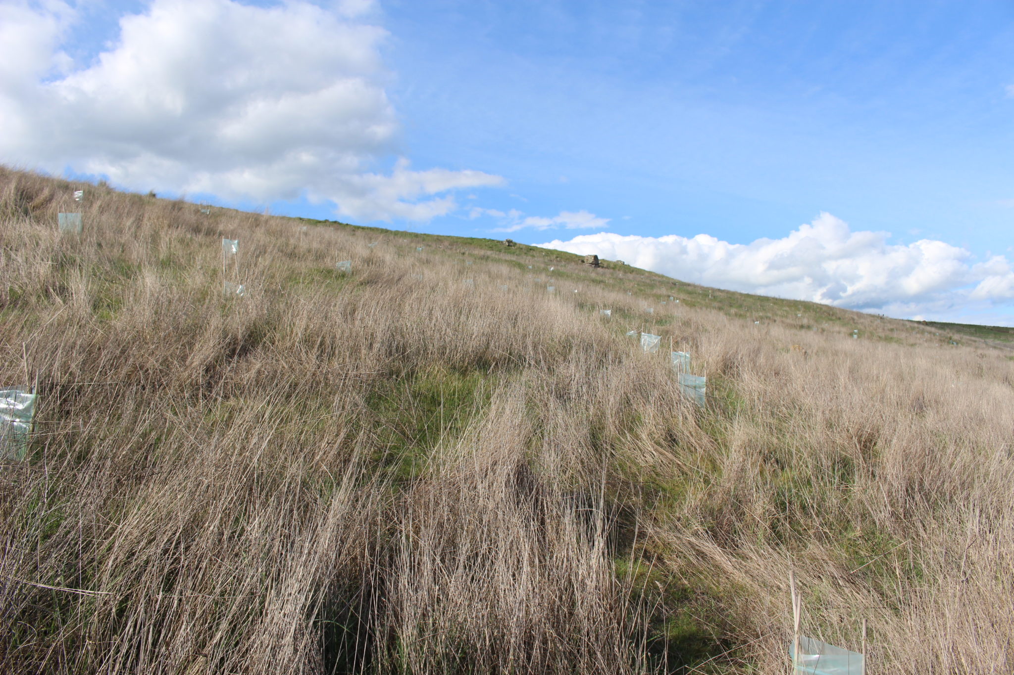 Spring 2022 newsletter Upper Hopkins Land Management Group