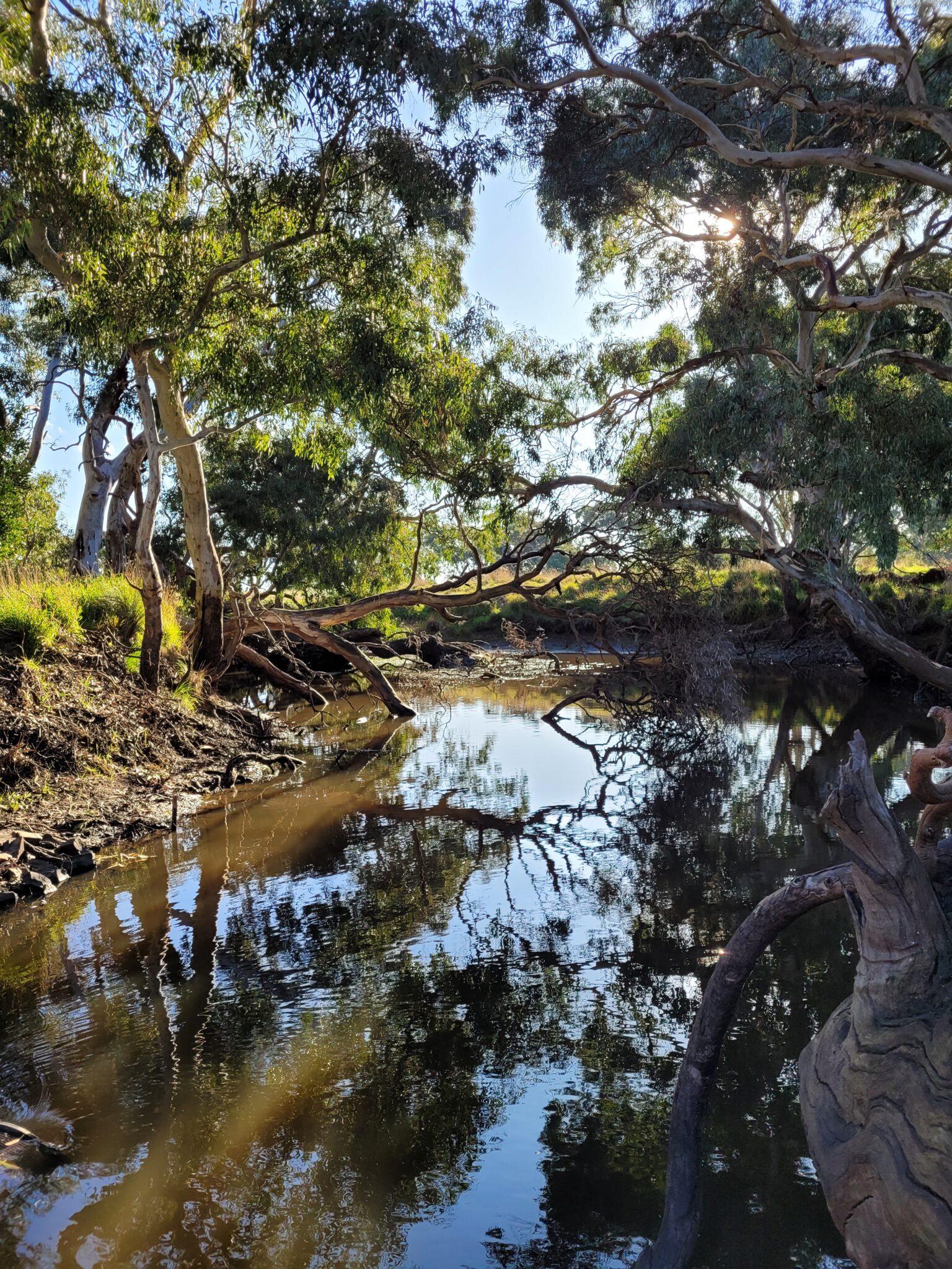 Spring 2023 Newsletter Upper Hopkins Land Management Group