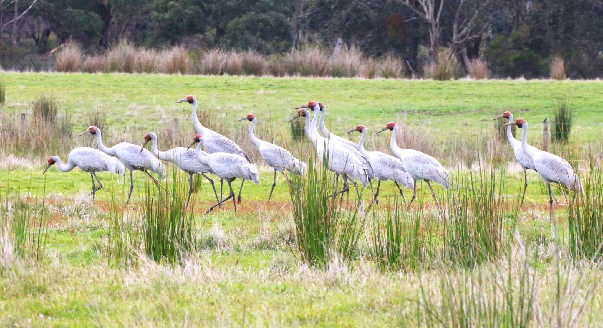 Summer 2023 Newsletter Upper Hopkins Land Management Group