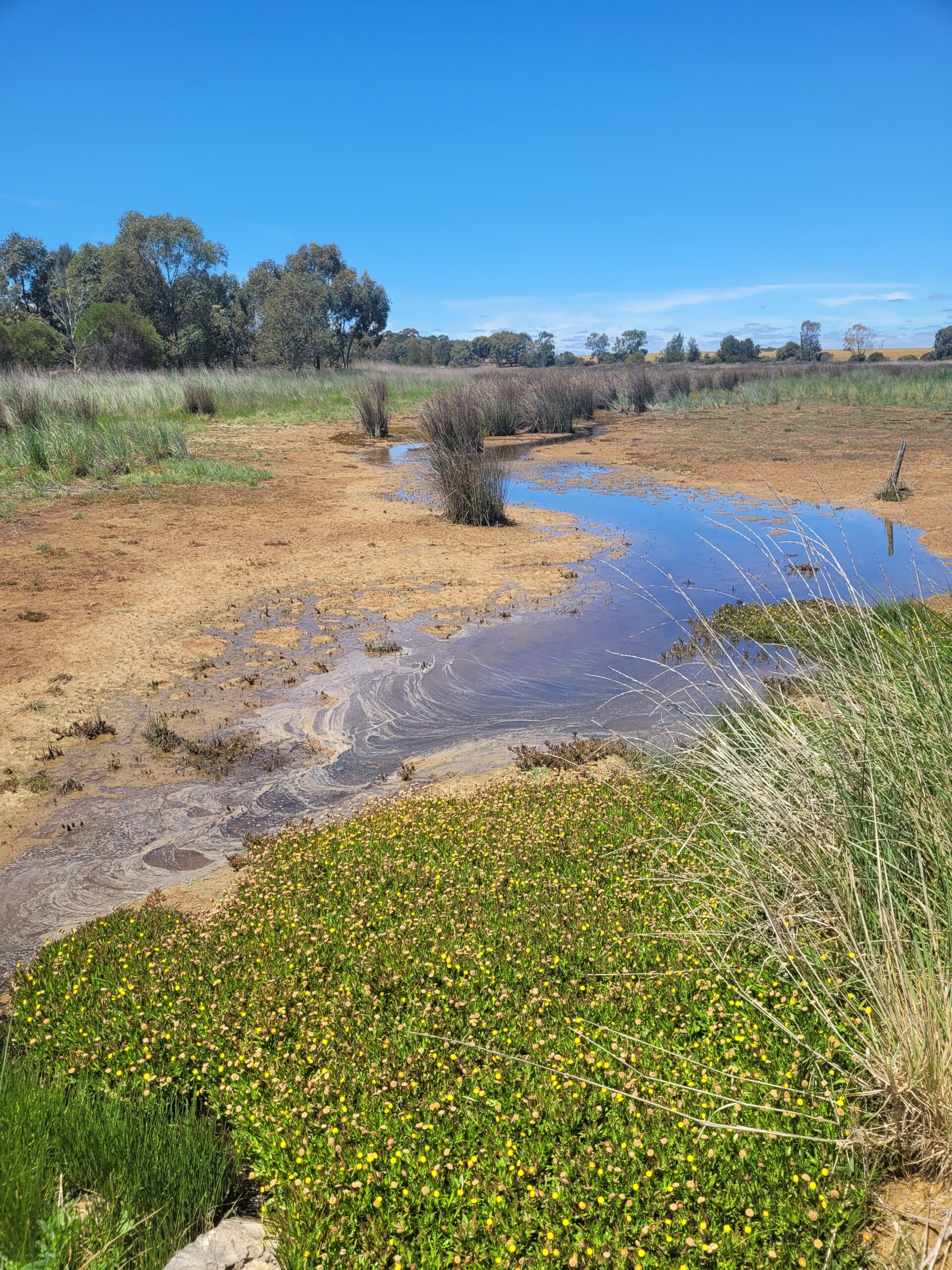 Summer 2023 Newsletter Upper Hopkins Land Management Group