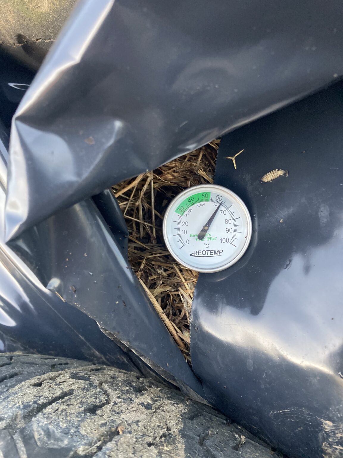 Autumn Newsletter 2024 Upper Hopkins Land Management Group